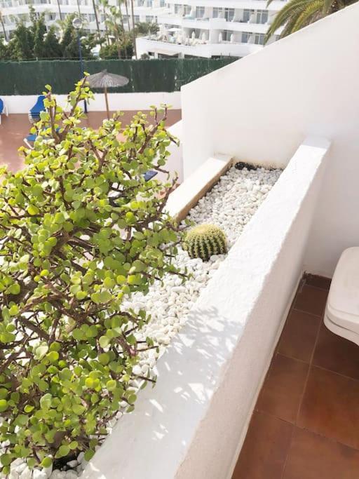 Apartamento Lucia Garden City Con Piscina Climatizada ปลายา ฟัญญาเบ ภายนอก รูปภาพ