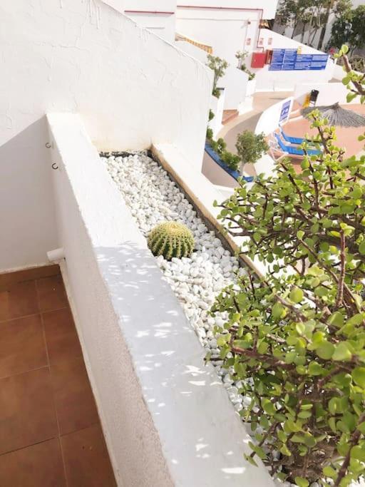 Apartamento Lucia Garden City Con Piscina Climatizada ปลายา ฟัญญาเบ ภายนอก รูปภาพ
